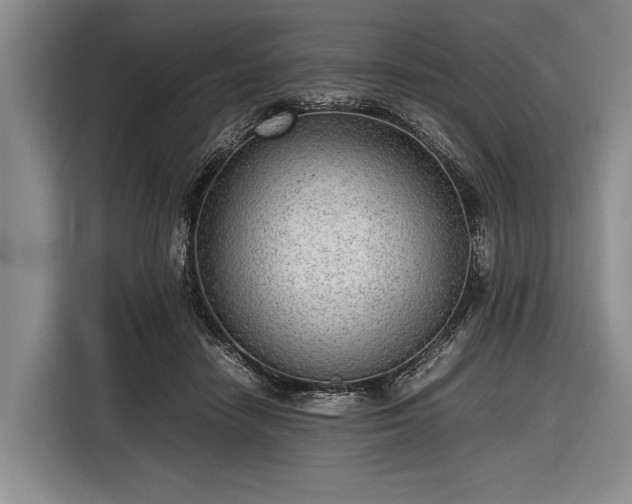 X0000116620458200912181308