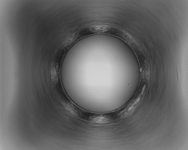 X0000116620460200912181308