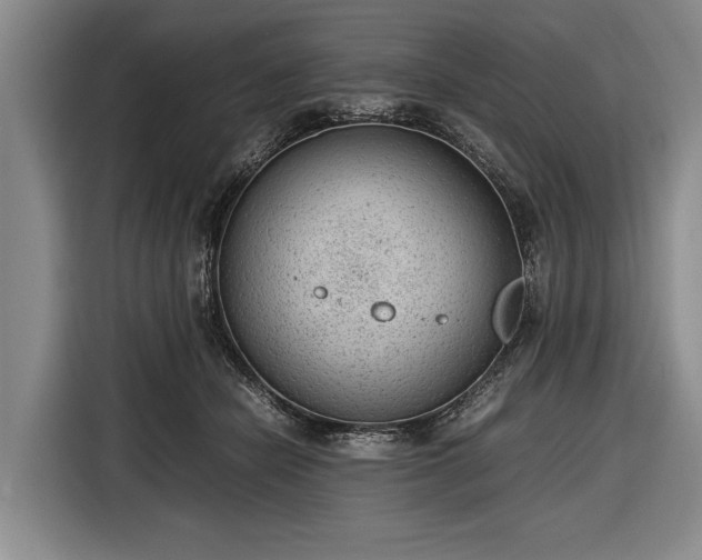 X0000116620462200912181308