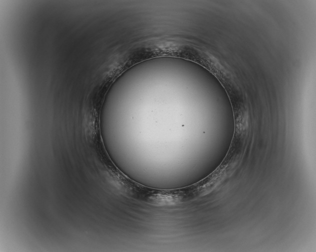 X0000116620464200912181308