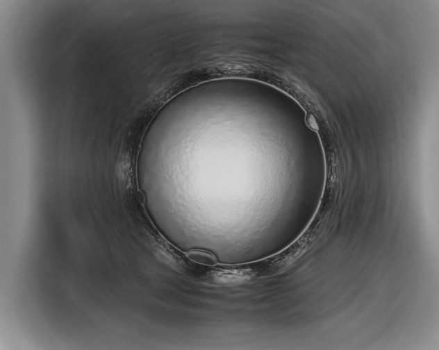 X0000116620465200912181308