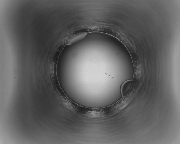 X0000116620466200912181308