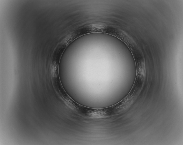 X0000116620468200912181308