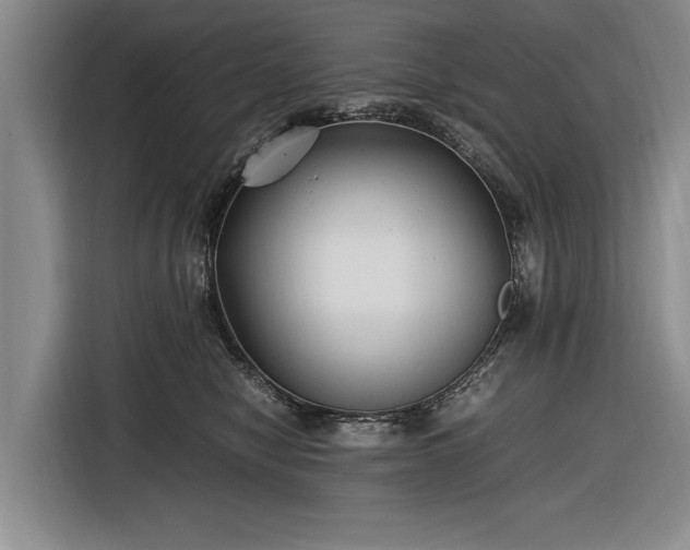 X0000116620470200912181308