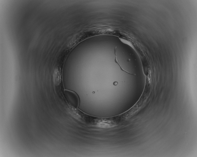 X0000116620471200912181308