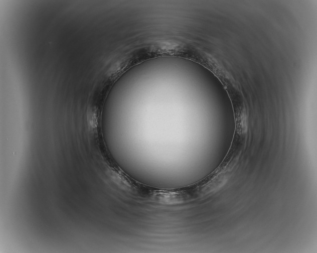 X0000116620472200912181308