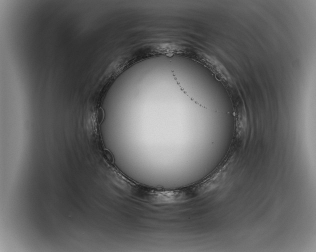 X0000116620473200912181308