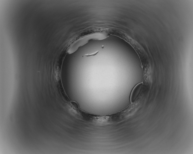 X0000116620474200912181308