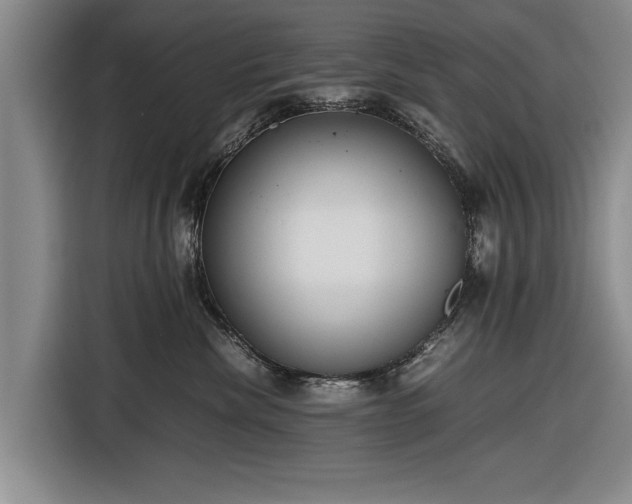 X0000116620476200912181308