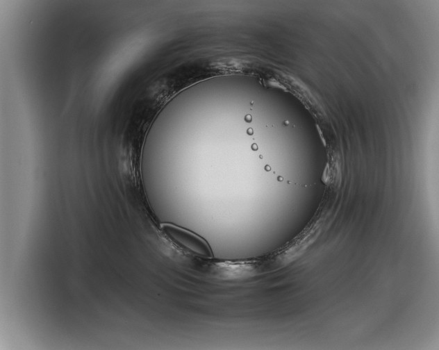 X0000116620477200912181308