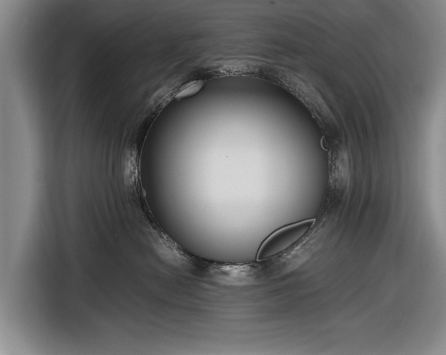 X0000116620478200912181308