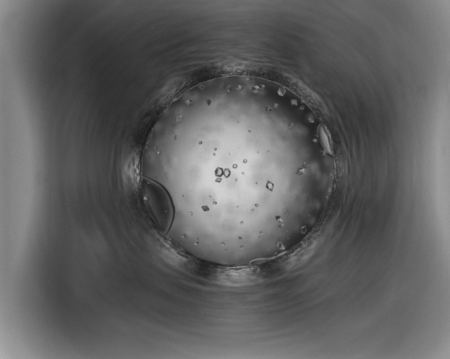 X0000116620479200912181308