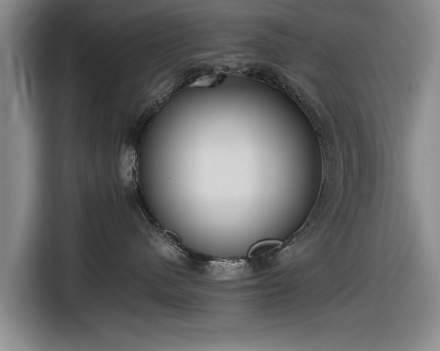 X0000116620480200912181308