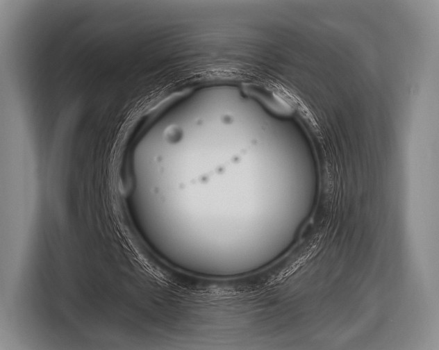 X0000116620481200912181308