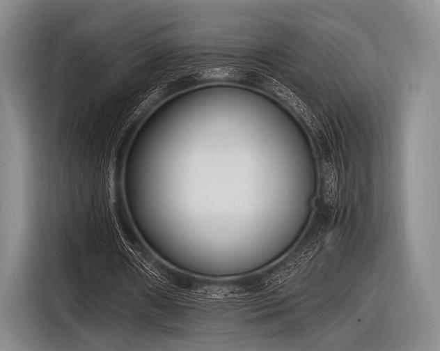 X0000116620482200912181308