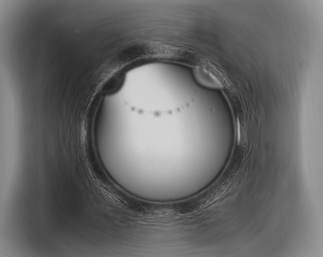 X0000116620483200912181308