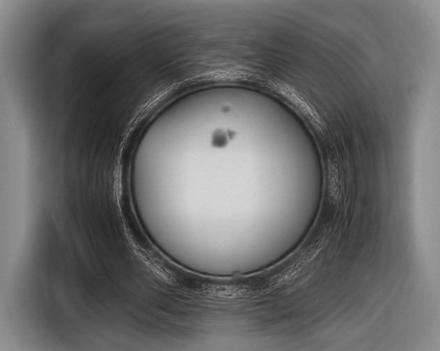 X0000116620486200912181308