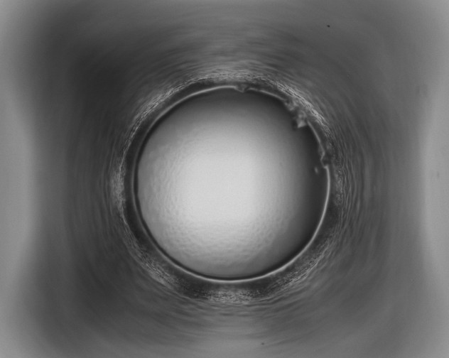 X0000116620487200912181308