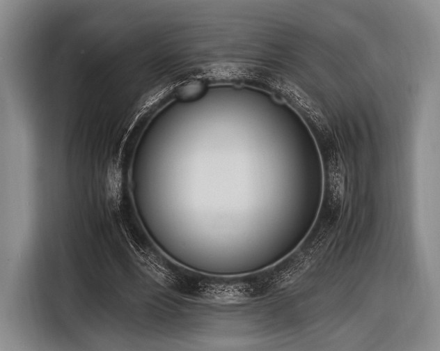 X0000116620488200912181308