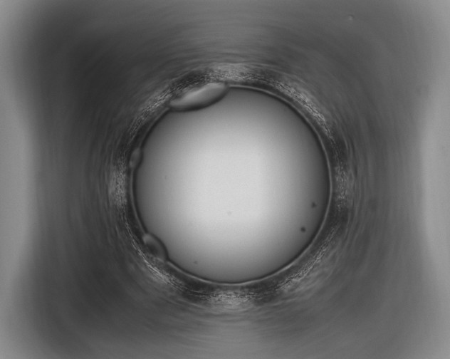 X0000116620489200912181308