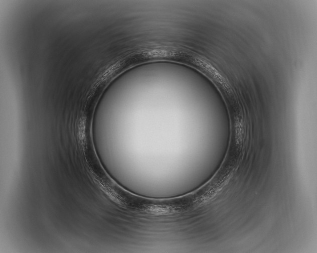 X0000116620490200912181308