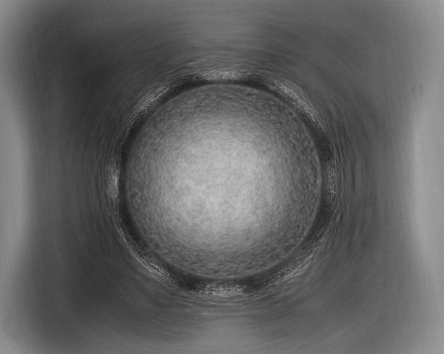 X0000116620491200912181308