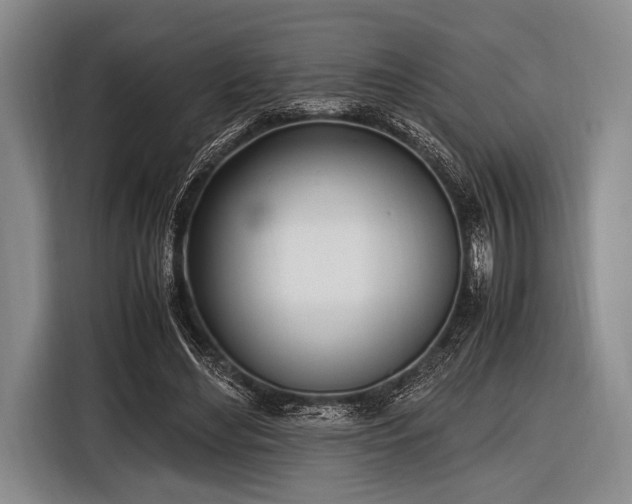 X0000116620492200912181308