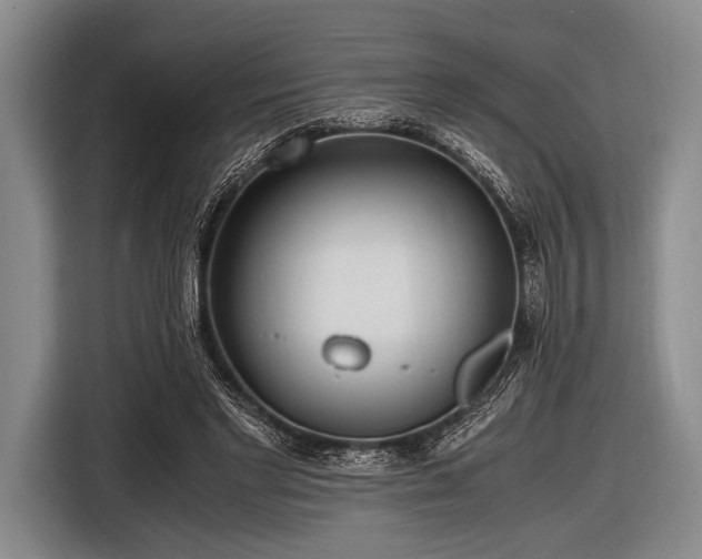 X0000116620493200912181308