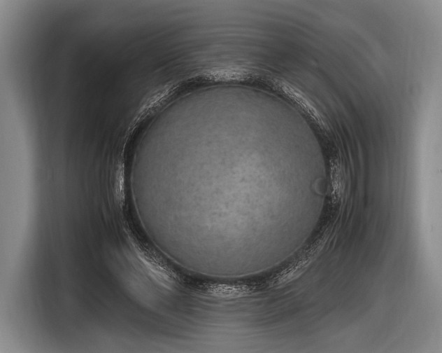 X0000116620494200912181308