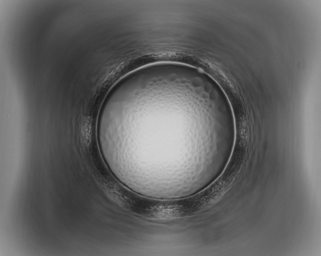 X0000116620495200912181308