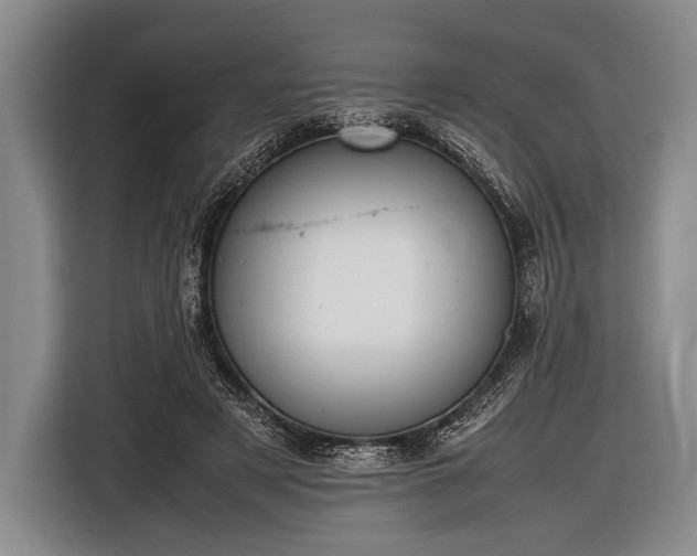 X0000116620497200912181308