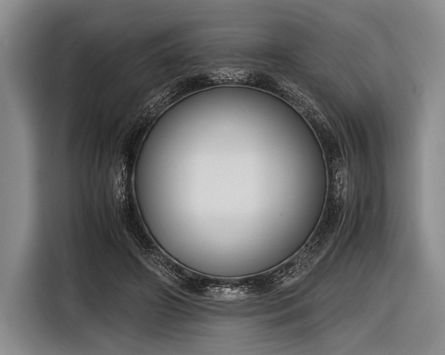 X0000116620498200912181308