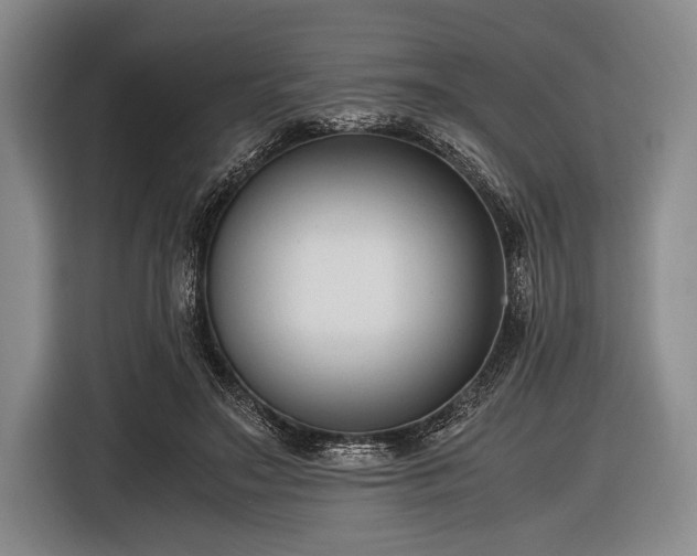 X0000116620499200912181308