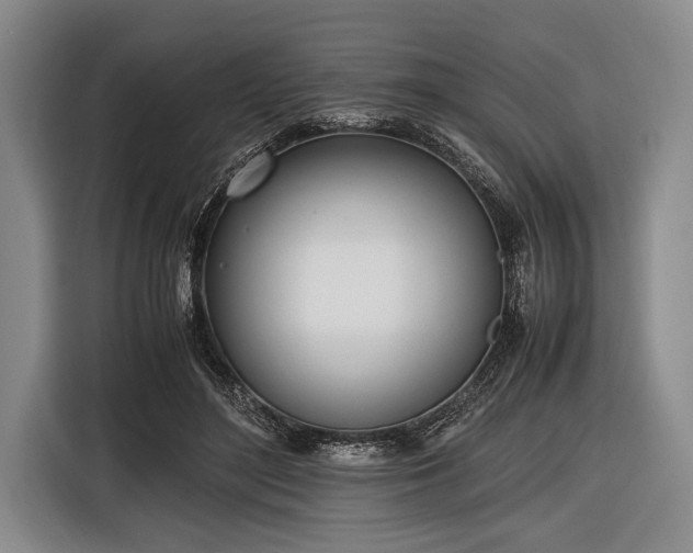 X0000116620500200912181308