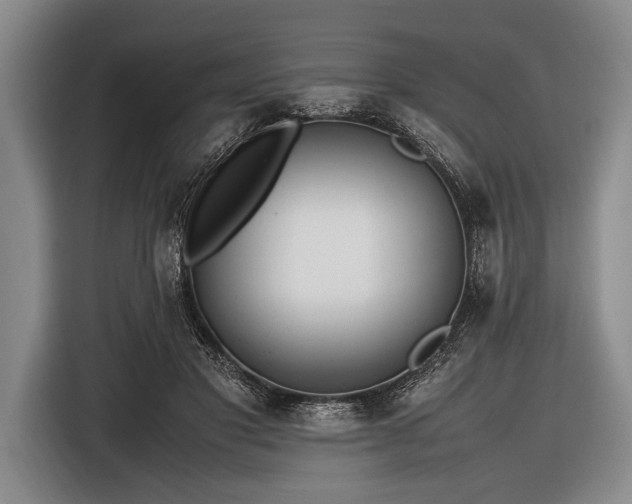 X0000116620501200912181308