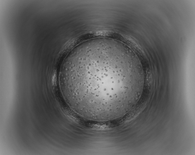 X0000116620502200912181308
