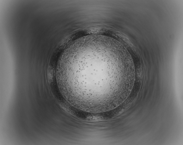 X0000116620503200912181308