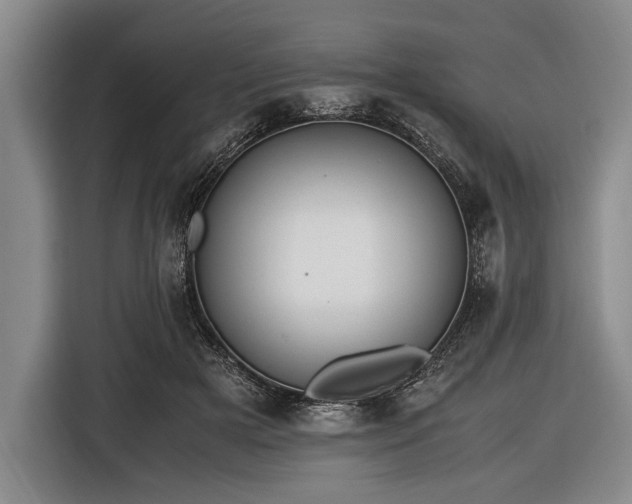 X0000116620505200912181308