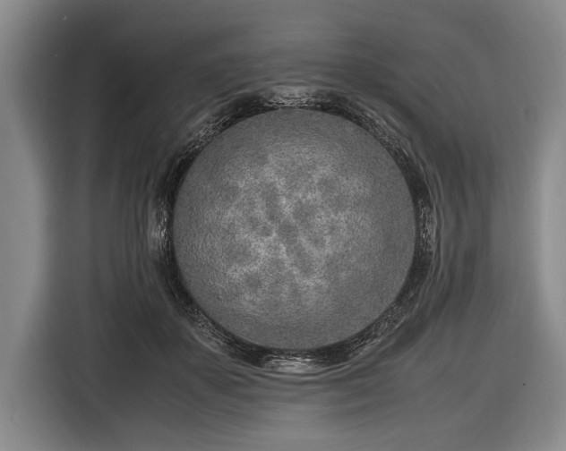 X0000116620507200912181307