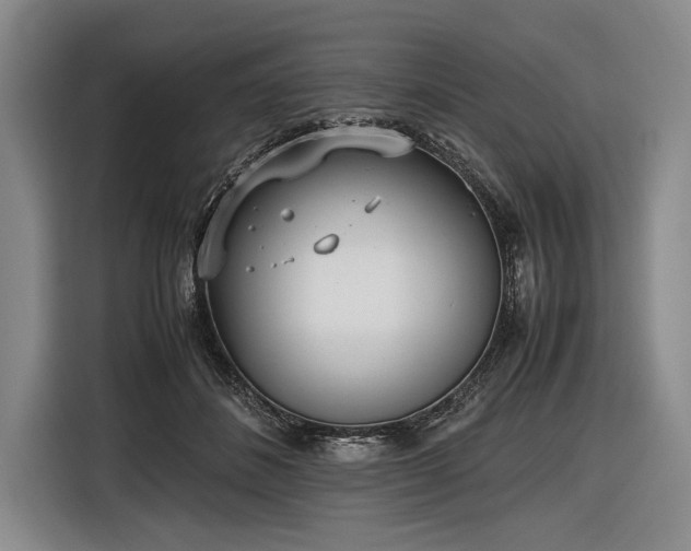 X0000116620508200912181307