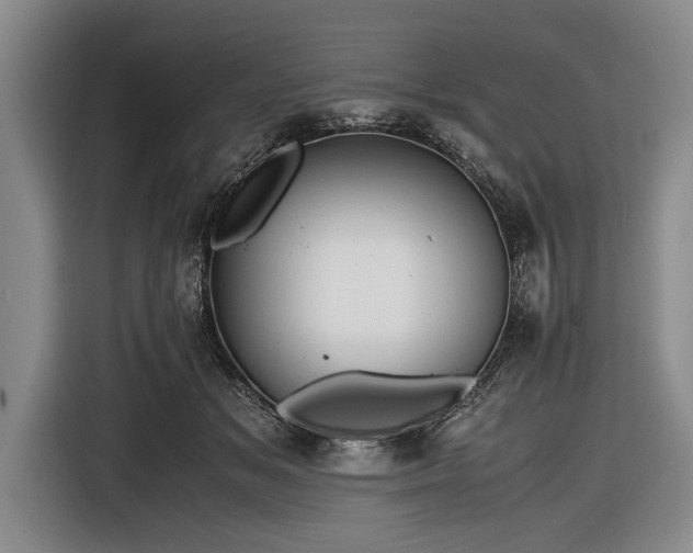 X0000116620509200912181307