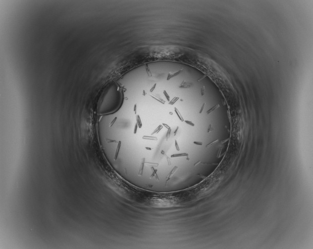 X0000116620510200912181307