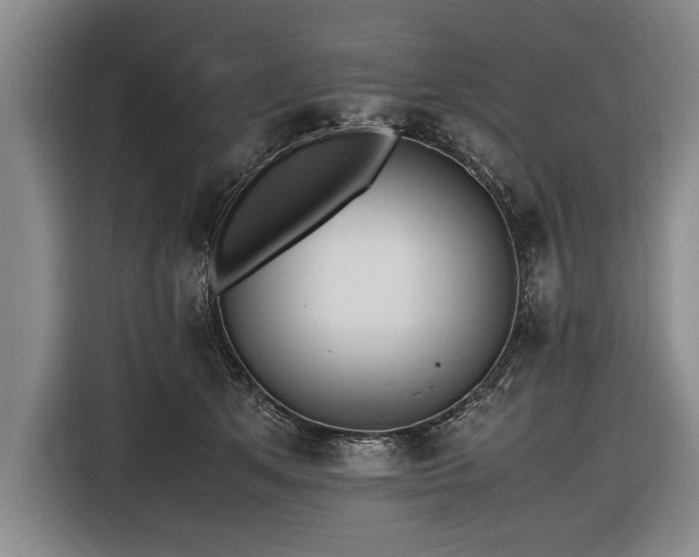 X0000116620513200912181307