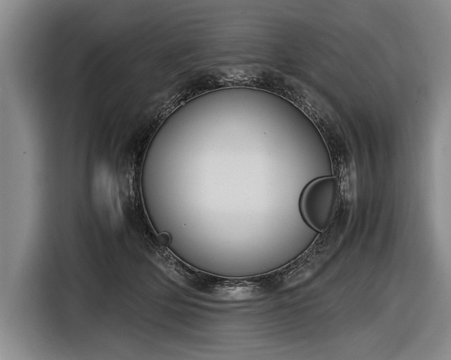 X0000116620514200912181307