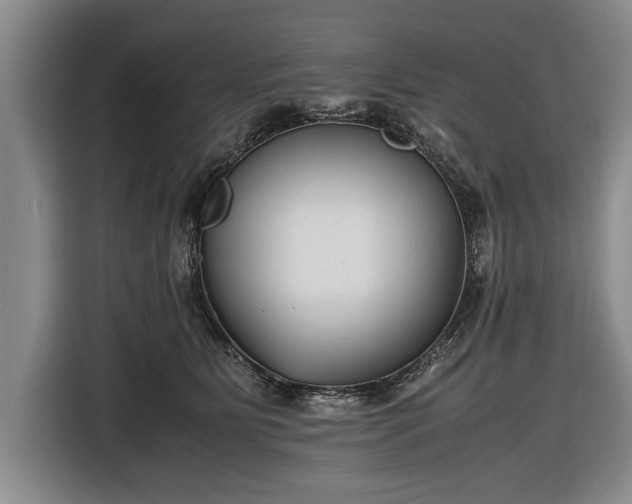 X0000116620515200912181307