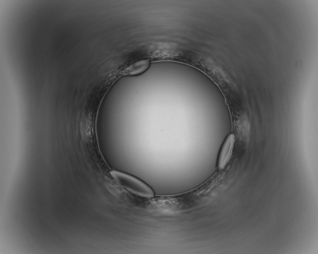 X0000116620517200912181307