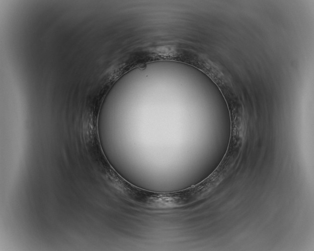 X0000116620518200912181307