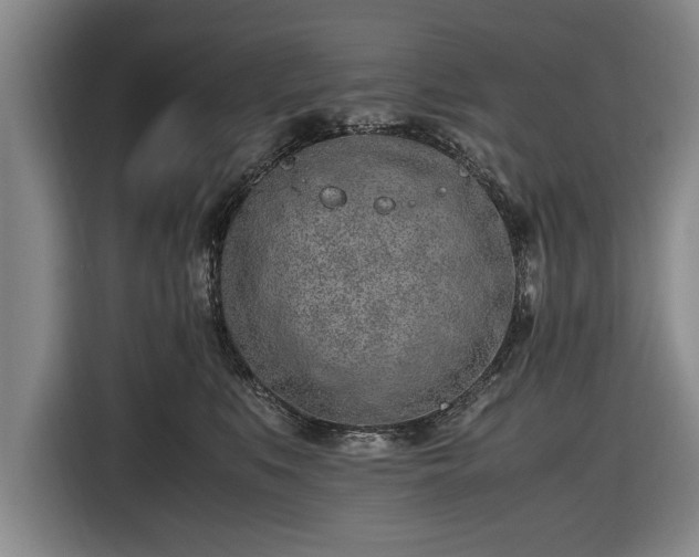 X0000116620519200912181307