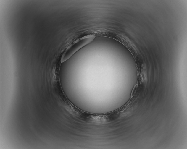 X0000116620520200912181307