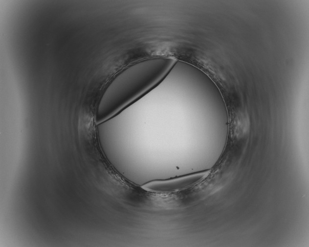 X0000116620521200912181307